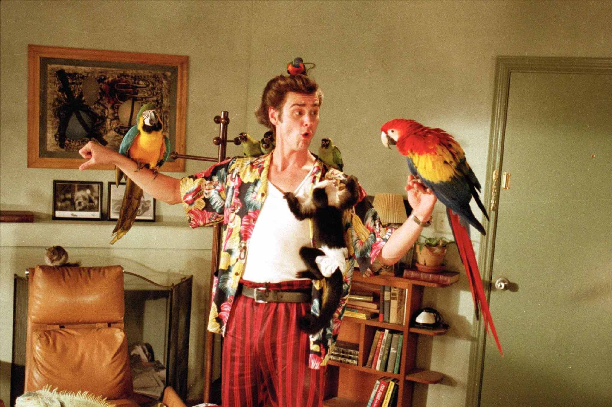 ace ventura pet detective tutu gif