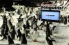 penguins-promo09.jpg