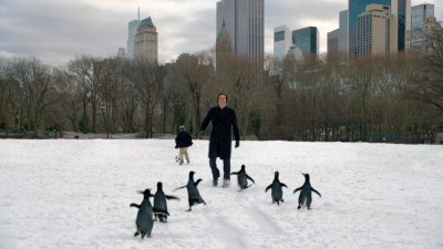 Mr. Popper's Penguins