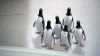 penguins-still20.jpg