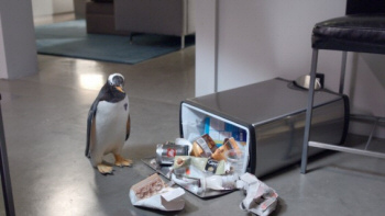 Mr. Popper's Penguins