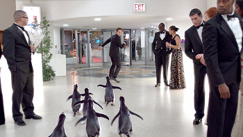 Mr. Popper's Penguins