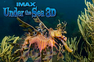 Under The Sea 3D