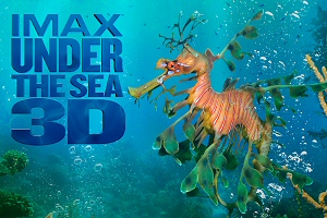 Under the Sea 3D