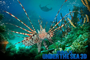 Under the Sea 3D