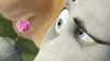 horton06.jpg