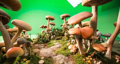 sonic-ontheset024.jpg