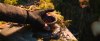 sonic2-screen-captures003.jpg