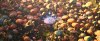 sonic2-screen-captures066.jpg