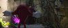 sonic2-screen-captures460.jpg