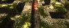 sonic2-screen-captures491.jpg