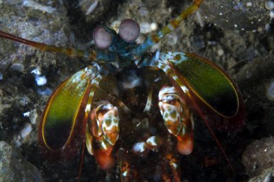 underthesea-still12.jpg