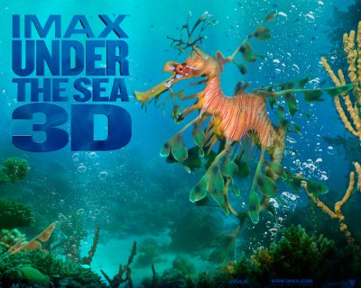 underthesea02_1280x1024.jpg