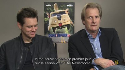 france019.jpg